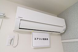 アミコート