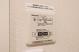 アミコート