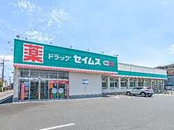 カトス　イン　ホルト