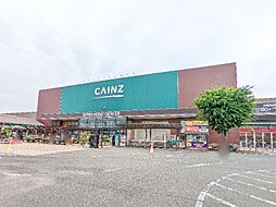 ブッシュ クローバー VIII