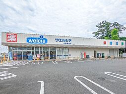 ウエルシア大泉古氷店 706m