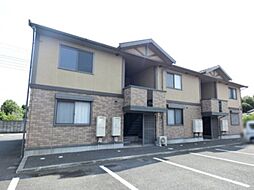 プリムローズ C