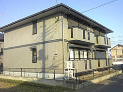 マロングレイス B