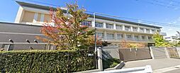 【小学校】奈良市立済美小学校まで245ｍ