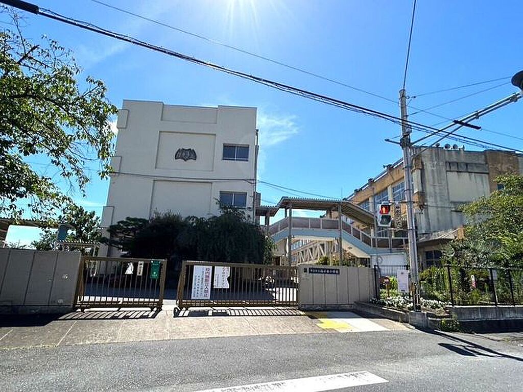 Image 19