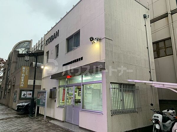 ピーニャ市川