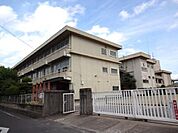 小学校「岡山市立宇野小学校まで969ｍ」