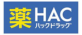 ハーミットクラブハウス新横浜  ｜ 神奈川県横浜市港北区篠原町（賃貸アパート1R・2階・16.56㎡） その23