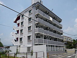 ジョイフリー皆賀