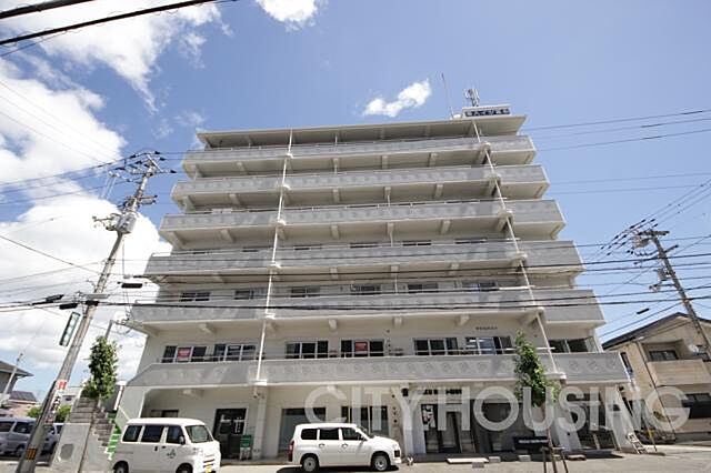1 / 3