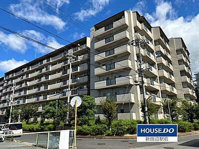 外観：7階建ての3階のお部屋になります