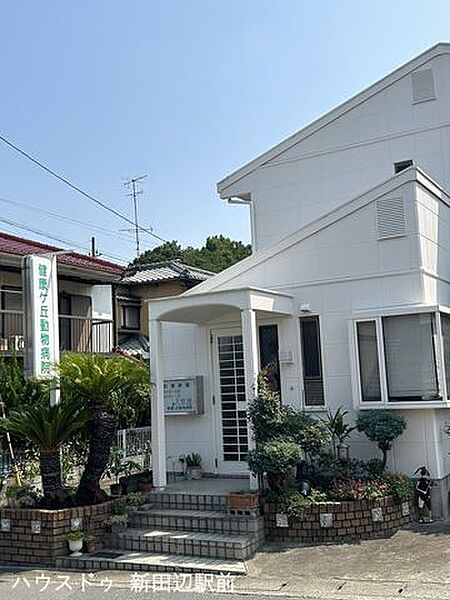 周辺を拡大表示