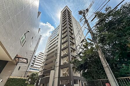 首都高と246号線に面して建つ、1969年5月竣工、地下1階付地上14階建てマンション。2018年に耐震補強工事完工、耐震基準適合証明書を取得済みです。1階にはテナントとしてバイク屋さんが入居してます