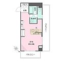 クリーンホームツルオカ8階11.3万円