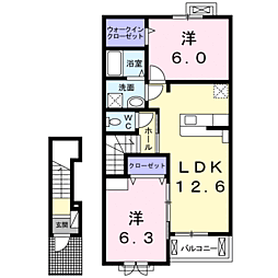 ヴィオラ　パッソVI