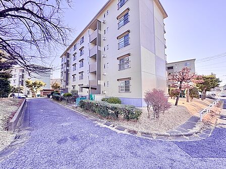 即日ご案内可能です! お気軽にお問合せ下さい!