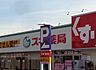 周辺：スギ薬局市川大和田店（220m）