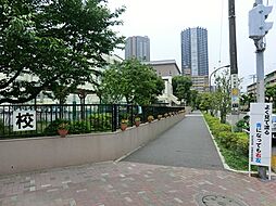 江東区立第二辰巳小学校まで約804m