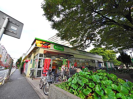 コープ戸山店まで約368m