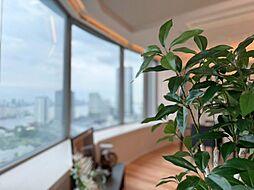 光と風があふれる開放的なリビングダイニングには自然と家族みんなが集まってきます。明るく穏やかな空気のなかで飲んだり、食べたり、笑ったり。