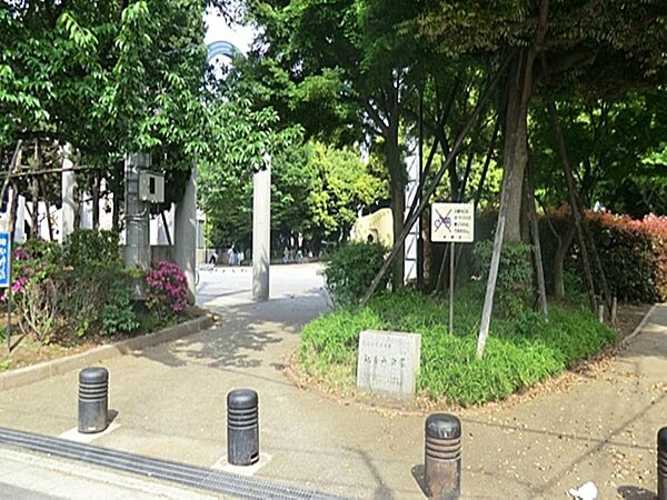 周辺を拡大表示