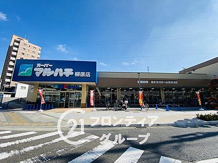 スーパーマルハチ柳原店 徒歩8分。 590m