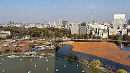 窓一面に広がるのは、歴史と未来が交差する上野の街。移ろう季節を身近に感じる、贅沢なパノラマ眺望です。