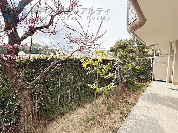 ◆主要採光面が...