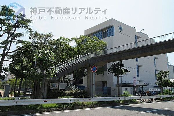 周辺を拡大表示