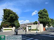 東京理科大学 1200m