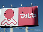 マルヤ 345m