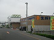 ジェイアール生鮮市場発寒店 527m