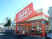 ザ・ビッグエクスプレス平岸店 1053m