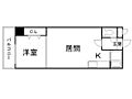 コトン月寒中央9階4.5万円