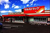 ツルハドラッグ平岸店 276m