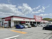 マックスバリュ白岳店 250m