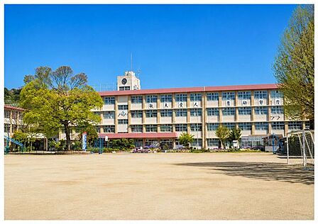 大龍小学校 40m