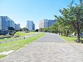 荒川区立瑞光橋...