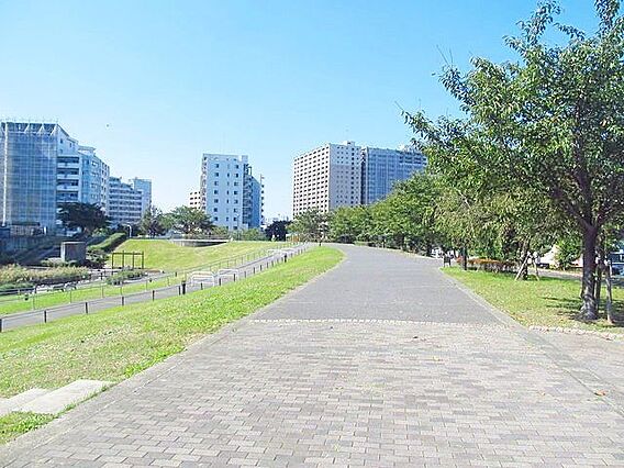 荒川区立瑞光橋...