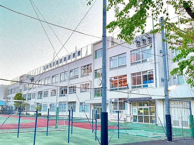 周辺 サンパティック立花リビエール 13階/-