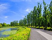 都立水元公園 徒歩12分。 890m
