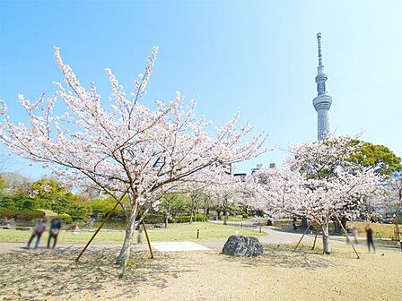 墨田区立隅田公園 徒歩24分。徒歩14分。 1910m