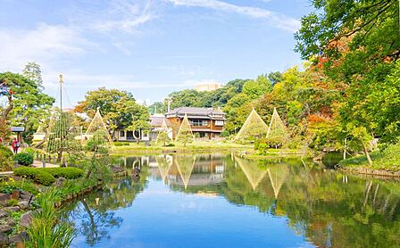 肥後細川庭園 徒歩10分。 780m
