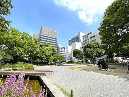 豊津公園 260m