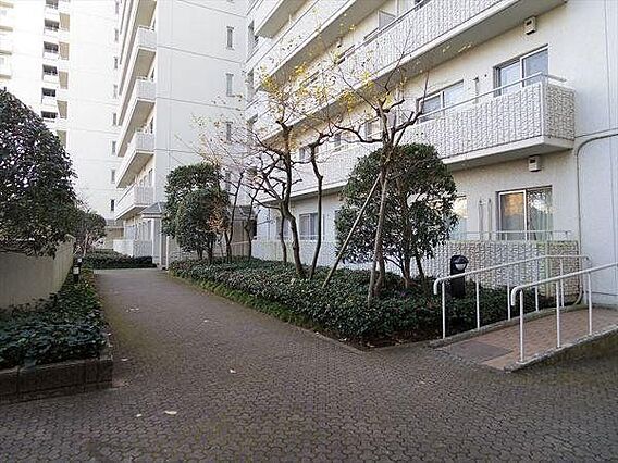 敷地はきちんと...