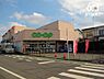 周辺：コープみらいミニコープこぶし店 徒歩5分。品揃え豊富なスーパーマーケットでございます。近隣の方々でいつも賑わっております。駐車場も広いです。 380m