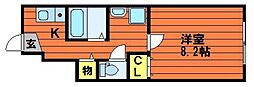 パシフィコノヴァA 1Kの間取図画像