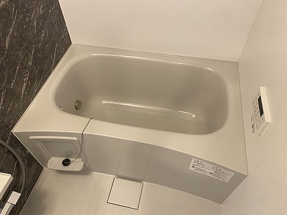 レミリア_その他_1