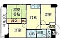 ロイヤルコーポ野田4階4.5万円