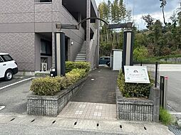 5 / 6